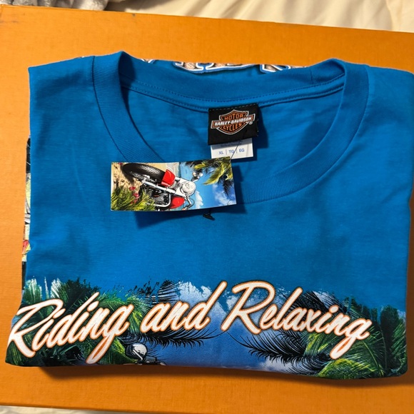 Harley-Davidson Grand Turk - Picture 6 of 9